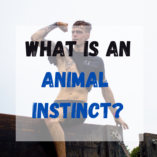 What Is An Animal Instinct? Do Humans Still Have Animal Instincts?